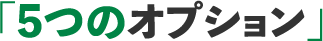 「5つのオプション」